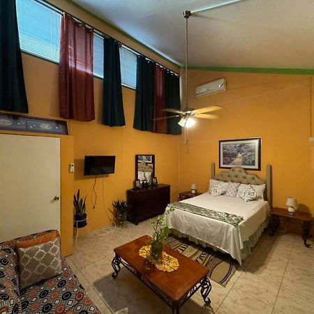 Shalom Suite 2, Manor Park Кингстон Экстерьер фото