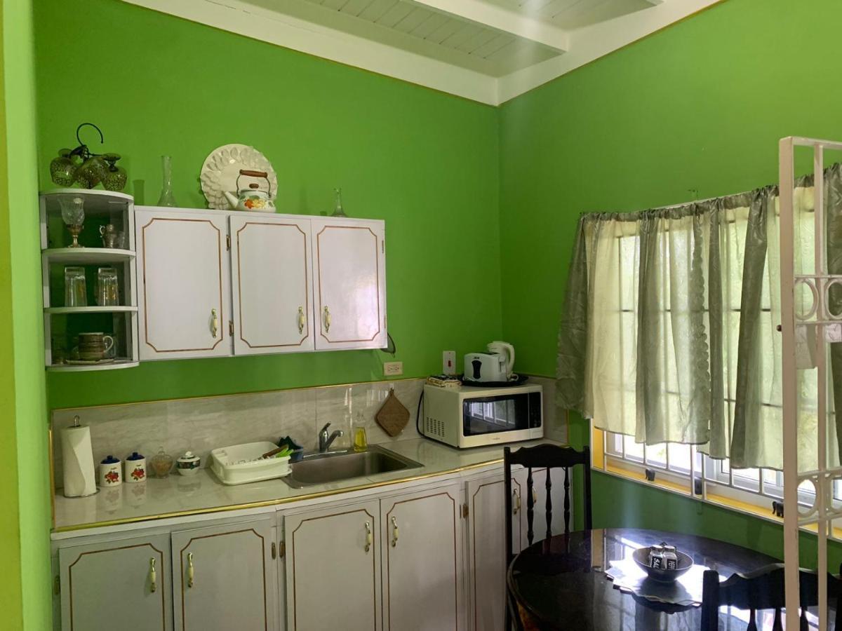 Shalom Suite 2, Manor Park Кингстон Экстерьер фото