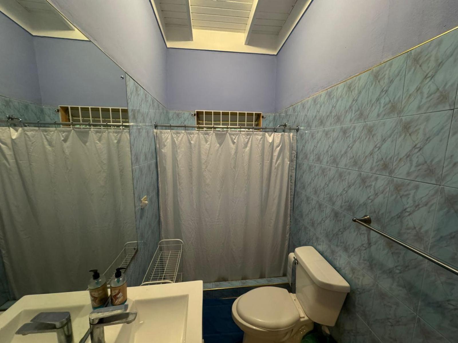 Shalom Suite 2, Manor Park Кингстон Экстерьер фото